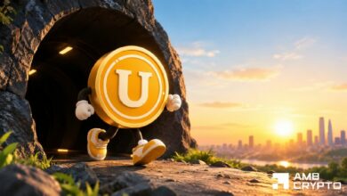 إدراج USELESS في بورصة Bithumb يحفز مشتريات حيتان بـ3.2 مليون دولار — تحليل إعدادات العملة
