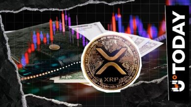 267,664 XRP متأثرة: تطبيق محفظة XRP Ledger يُوقف بعد اختراق أمني