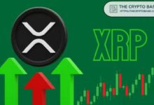 محلل: XRP يدخل منطقة نادرة لم نشهدها سوى 7 مرات في 13 عامًا
