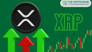 محلل: XRP يدخل منطقة نادرة لم نشهدها سوى 7 مرات في 13 عامًا
