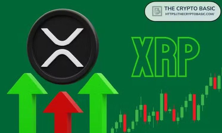 محلل: XRP يدخل منطقة نادرة لم نشهدها سوى 7 مرات في 13 عامًا