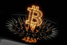 مهندس في Coinbase يطور ذكاءً اصطناعيًا مستوحى من دماغ ذبابة الفاكهة لتحقيق ربح دولار واحد من تداول البيتكوين