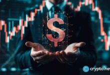 ويريكس تدمج تيمبو لإصدار بطاقات العملات المستقرة للشركات