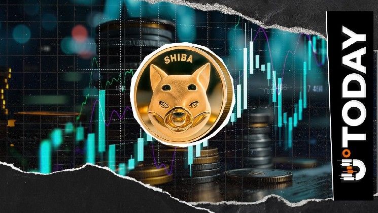 10.74 تريليون شيبا؟ شيبا إينو يستعيد مستوىً رئيسيًا مع قفزة 19% في العقود المفتوحة