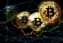 بيتر براندت يحيي هدفه الأسطوري لعام 2019 لبيتكوين
