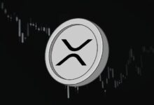 تقارير 13F تُبرز صناديق الاستثمار كأكبر الحائزين على XRP ETF