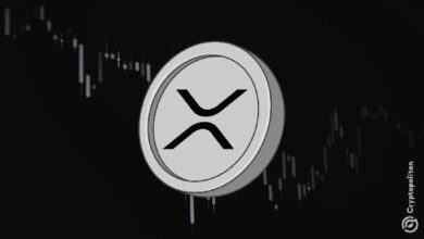 تقارير 13F تُبرز صناديق الاستثمار كأكبر الحائزين على XRP ETF
