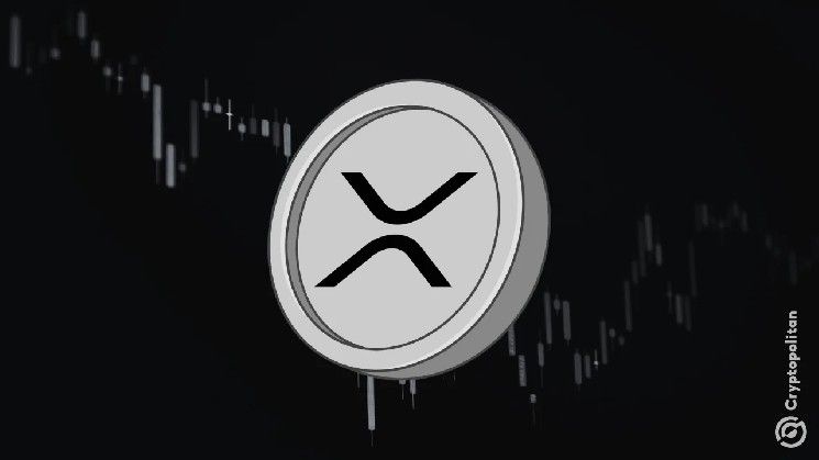 تقارير 13F تُبرز صناديق الاستثمار كأكبر الحائزين على XRP ETF