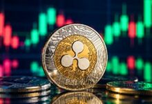 راقب هذا المستوى في XRP عن كثب: "إذا ارتد فسيكون من هنا"