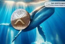حوت Hyperliquid بمعدل ربح 99% يضيف إلى مركز شراء XRP بقيمة 1.36 مليون دولار رغم خسارة 21%