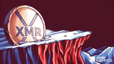 انخفاض سعر مونيرو من 560 دولارًا — هل يستطيع XMR الدفاع عن مستوى 490-500 دولار؟