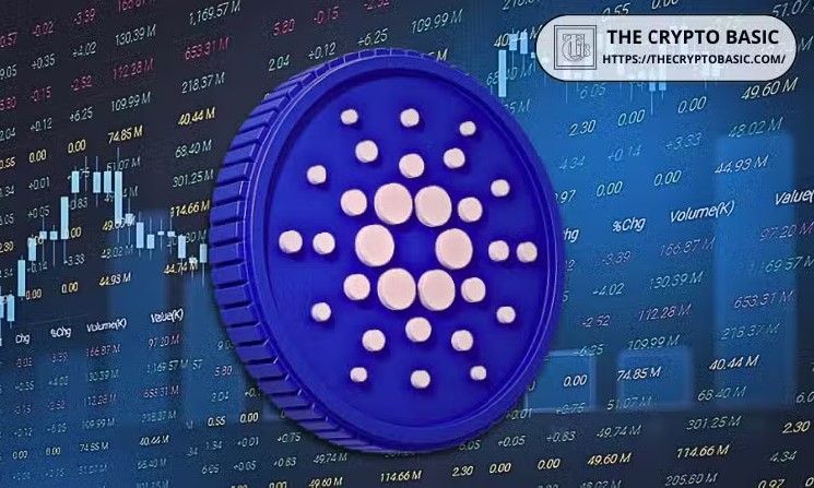ريالفاي تعلن موعد إطلاق شبكتها الرئيسية على كاردانو