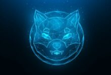 ارتفاع 103% في المقياس الأهم لشيبا إينو (SHIB) خلال 24 ساعة: هل ينقذ الموقف؟