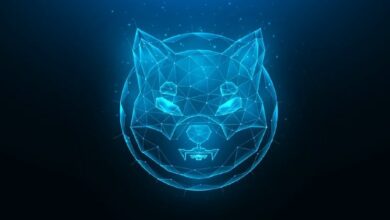 ارتفاع 103% في المقياس الأهم لشيبا إينو (SHIB) خلال 24 ساعة: هل ينقذ الموقف؟