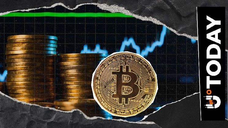 بيتكوين جاهز للارتفاع القادم، وفقًا لأبرز المتداولين