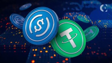 هل تحويلات USDT وUSDC أرخص من التحويلات البنكية؟ ما يقوله صندوق النقد الدولي فعلاً
