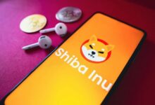 هل شيبا إينو (SHIB) تستحق الاحتفاظ بها في سبتمبر؟ تاريخ سعر التوكن يقدم إجابتين