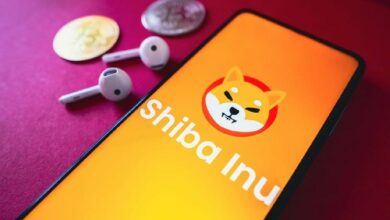 هل شيبا إينو (SHIB) تستحق الاحتفاظ بها في سبتمبر؟ تاريخ سعر التوكن يقدم إجابتين