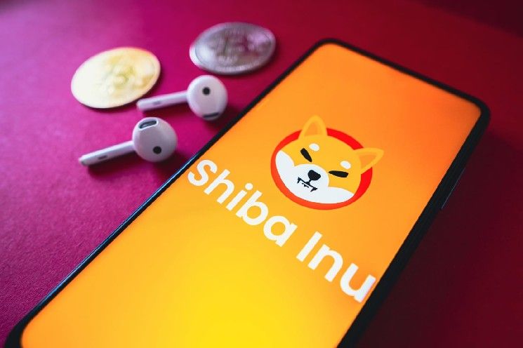 هل شيبا إينو (SHIB) تستحق الاحتفاظ بها في سبتمبر؟ تاريخ سعر التوكن يقدم إجابتين