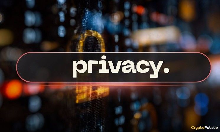 هذا القطاع الكريبتو يرتفع 213% منذ قمة بيتكوين 2025 – وعملة واحدة تقود المكاسب