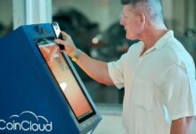 هيديرا تكشف عن هيكل رسوم ثابت ويمكن التنبؤ به للمستخدمين