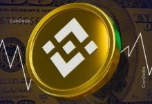قيمة BNB تدخل نطاقًا جديدًا — لماذا أصبح 900 دولار ممكنًا الآن