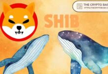 حوت Shiba Inu الذي حوّل 13 ألف دولار إلى 9 مليارات ينقل 600 مليار SHIB إلى BitGo