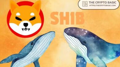 حوت Shiba Inu الذي حوّل 13 ألف دولار إلى 9 مليارات ينقل 600 مليار SHIB إلى BitGo