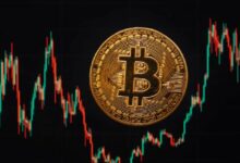 انخفاض سعر البيتكوين: شركة تحليلات تكشف عن أول مستوى دعم يجب مراقبته خلال الفترة المقبلة