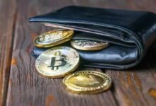 فيموباي تنشر مقارنة لمحافظ الحفظ الذاتي لمتداولي بيتكوين وإيثيريوم والعملات البديلة: ما يجب التحقق منه قبل مغادرة المنصة