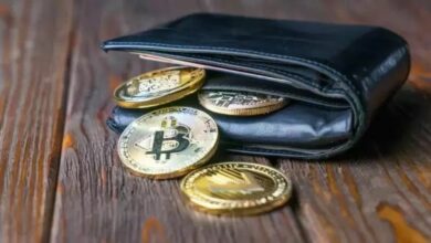 فيموباي تنشر مقارنة لمحافظ الحفظ الذاتي لمتداولي بيتكوين وإيثيريوم والعملات البديلة: ما يجب التحقق منه قبل مغادرة المنصة