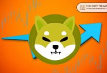 مؤيد Shiba Inu: SHIB بحاجة لإزالة صفر واحد فقط للعودة لقمة تاريخية، وليس 1000 عام