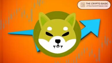 مؤيد Shiba Inu: SHIB بحاجة لإزالة صفر واحد فقط للعودة لقمة تاريخية، وليس 1000 عام