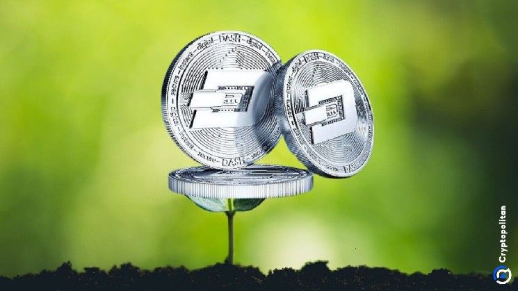 توقعات سعر داش 2026-2032: هل يتعافى دش قريبًا؟