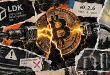 ثغرات حرجة في شبكة البرق Bitcoin تعرّض العقد لسرقة الأموال وفشل إعادة التشغيل