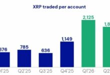 تتجاوز تدفقات صندوق XRP الفوري في أمريكا 1.68 مليار دولار مع تسارع الطلب
