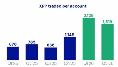 تتجاوز تدفقات صندوق XRP الفوري في أمريكا 1.68 مليار دولار مع تسارع الطلب
