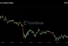 بيتكوين تهبط دون 77,000 دولار وZcash تتصدر الخسائر مع رهان المتداولين على رفع الفائدة