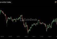 بيتكوين ينخفض دون 79,000 دولار، وزكاش يتصدر الخسائر مع بقاء احتمالات رفع الفائدة قرب 60%