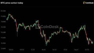 بيتكوين ينخفض دون 79,000 دولار، وزكاش يتصدر الخسائر مع بقاء احتمالات رفع الفائدة قرب 60%