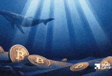 تدفقات بيتكوين إلى المنصات تهبط 15.5% مع توقف الحيتان قرب 79 ألف دولار: هل يتراجع الطلب؟