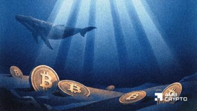 تدفقات بيتكوين إلى المنصات تهبط 15.5% مع توقف الحيتان قرب 79 ألف دولار: هل يتراجع الطلب؟