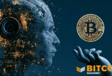هل يصبح الذكاء الاصطناعي محرك التبني القادم للبيتكوين؟ الرئيس التنفيذي لناكاموتو يجيب