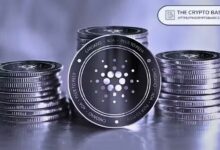 كاردانو تُنهي فريق علاقات المطورين في سلسلتها الجانبية Midnight للخصوصية