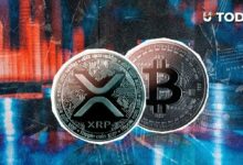 خبير ريبل شوارتز يتوقع تفوق XRP على بيتكوين.. لكن هناك شرط