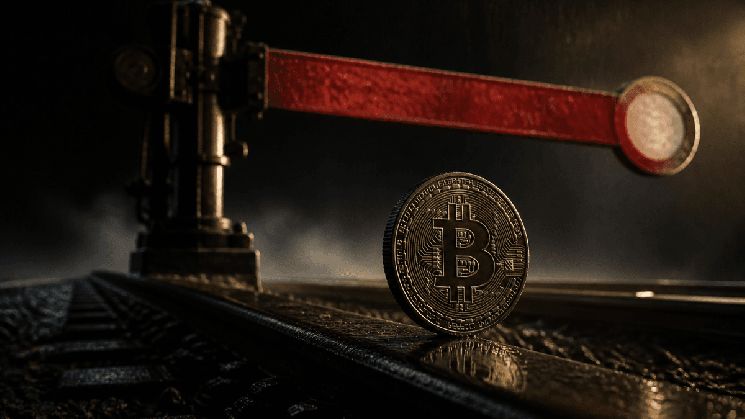 شبكة مينا تقوم بالهارد فورك في 3 سبتمبر 2026: ماذا يحدث لعملاتك MINA أثناء توقف الشبكة