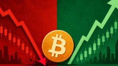 سعر البيتكوين يواجه ضغط بيع بمليون دولار من الحيتان قبل تصويت قانون الوضوح