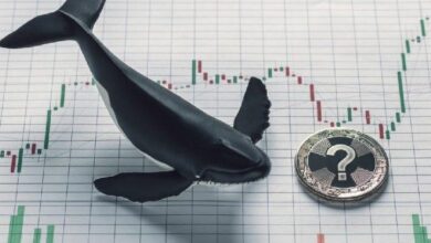 نشاط مكثف للحيتان في بيتكوين والعملات البديلة بعد بيانات التضخم — إليك التفاصيل