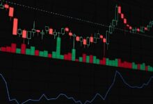 ميركوريو تعزز اعتماد العملات المستقرة لمستخدمي بوليجون