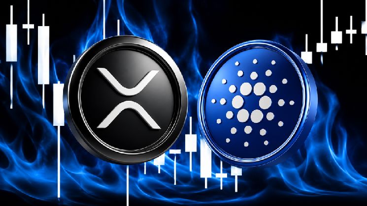محلل خبير: إشارة صعودية واضحة لـ كاردانو (ADA) وريبل (XRP)